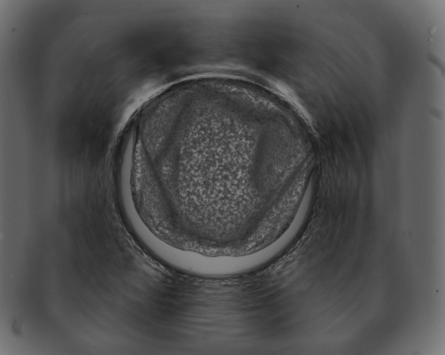 X0000091931360200710031051