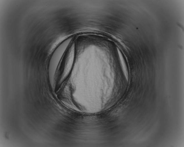 X0000091931363200710031051