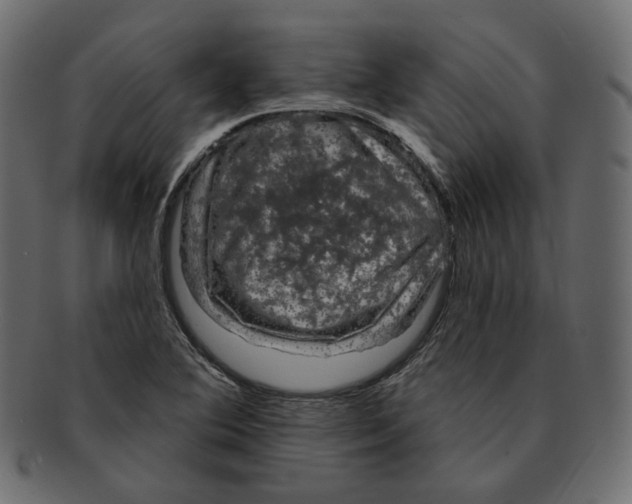 X0000091931364200710031051