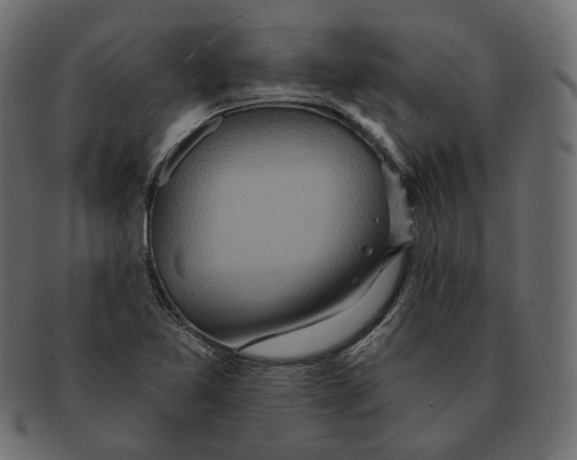 X0000091931365200710031051