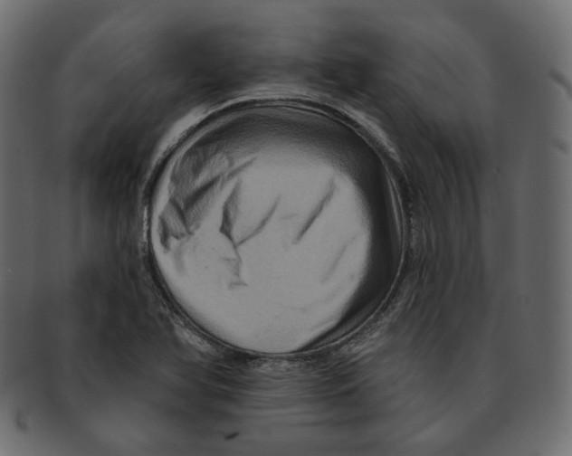 X0000091931366200710031051