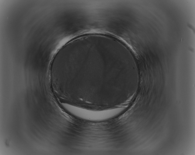 X0000091931367200710031051