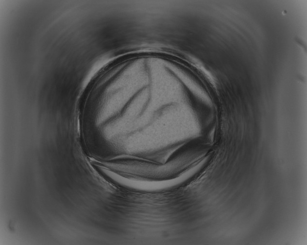 X0000091931368200710031051