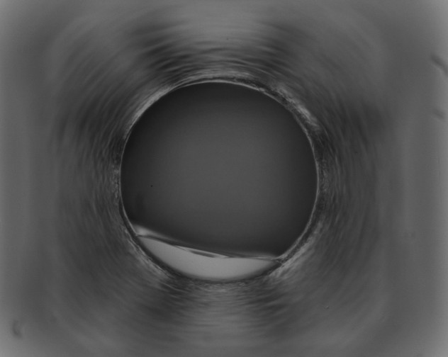 X0000091931369200710031051