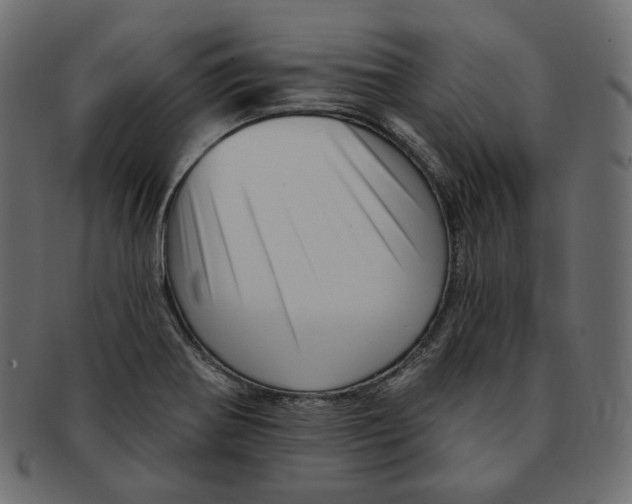 X0000091931370200710031051