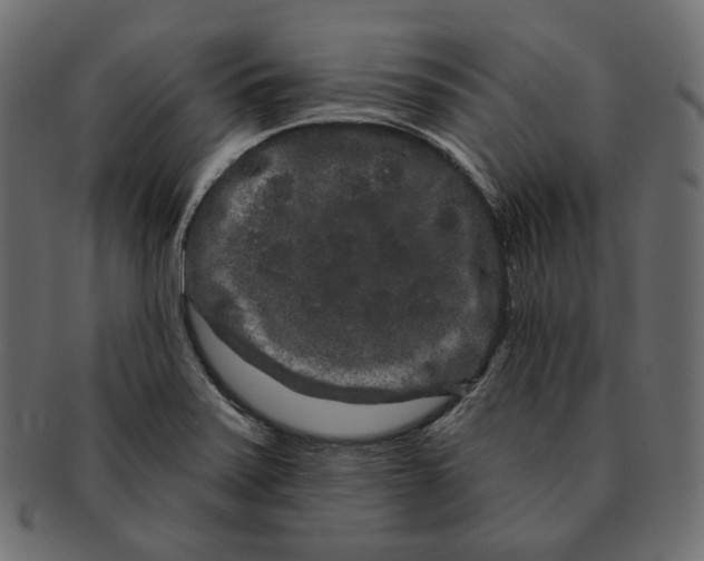 X0000091931371200710031051