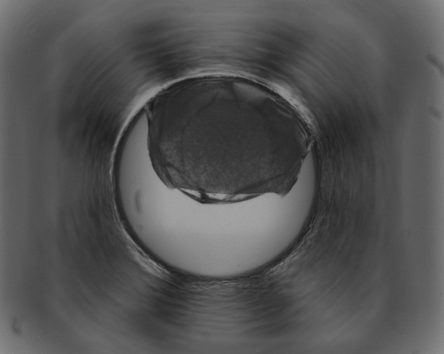 X0000091931372200710031051