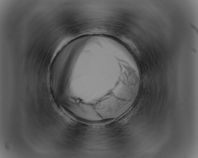 X0000091931374200710031051