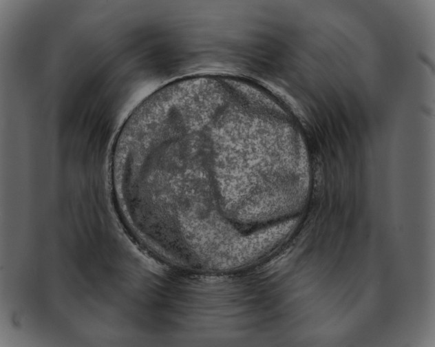 X0000091931375200710031051