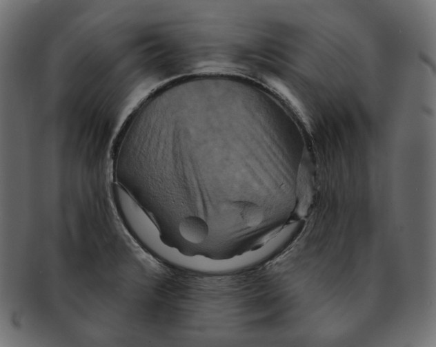 X0000091931376200710031051