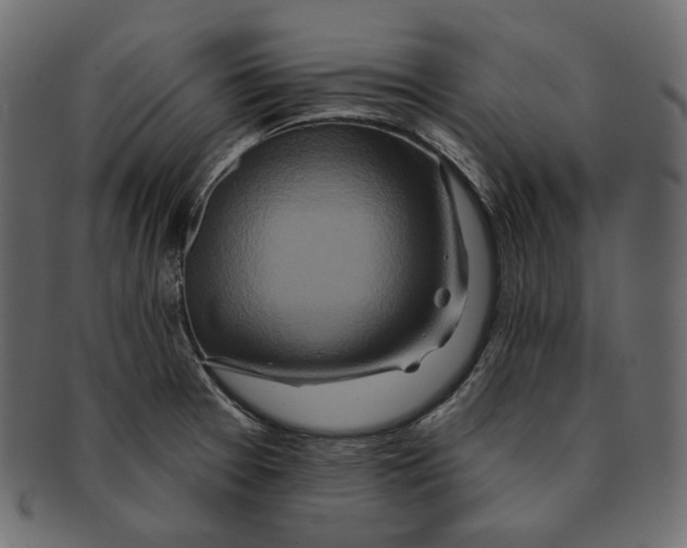 X0000091931377200710031051