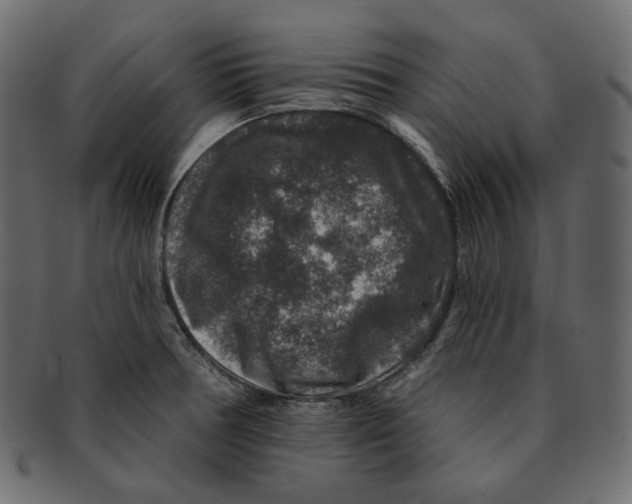 X0000091931378200710031051