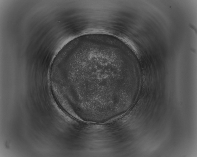 X0000091931382200710031050