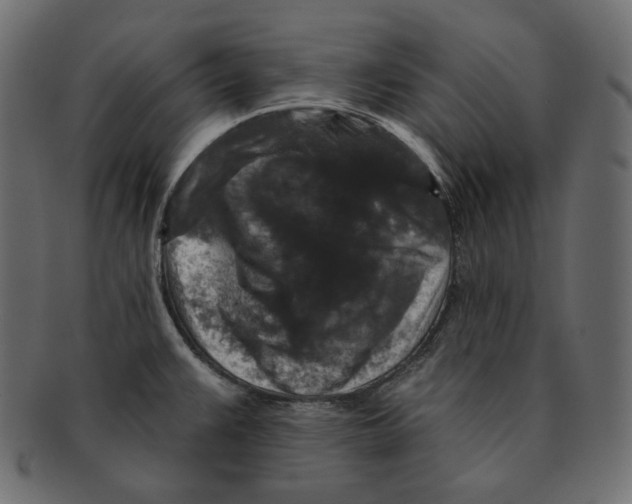 X0000091931383200710031050