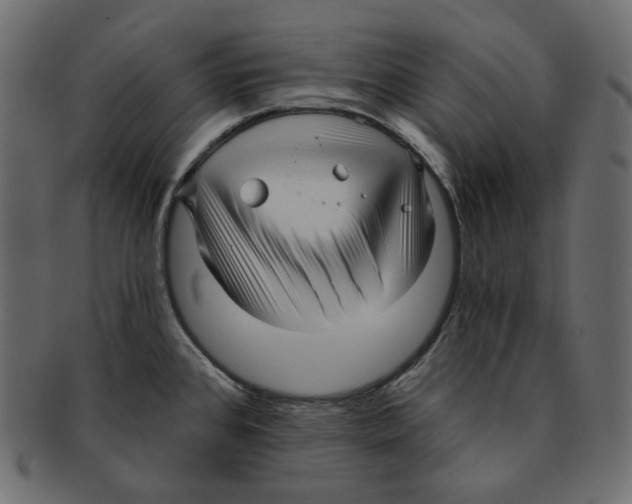 X0000091931384200710031050