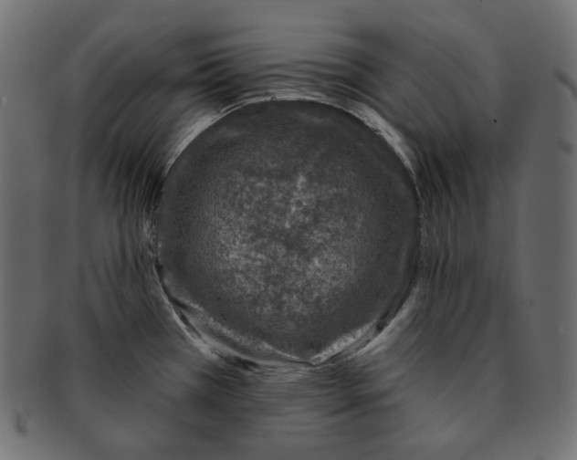 X0000091931385200710031050