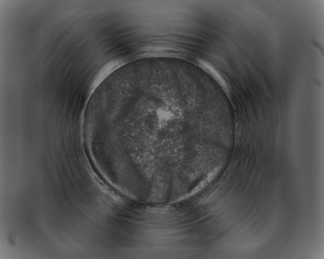 X0000091931386200710031050
