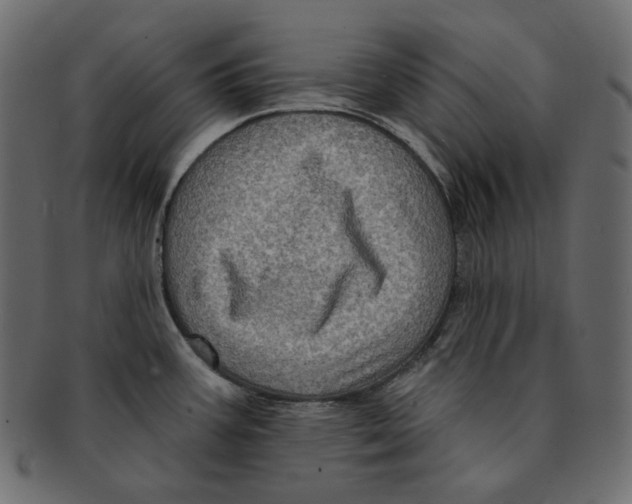 X0000091931387200710031050