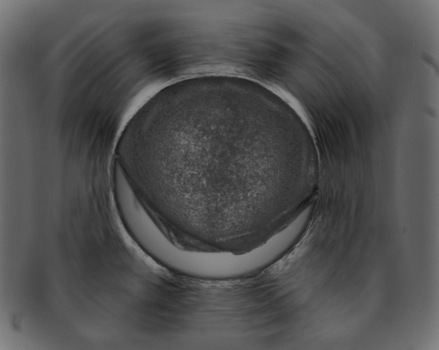 X0000091931389200710031050