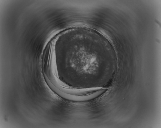 X0000091931392200710031050