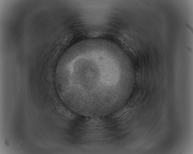 X0000091931393200710031050