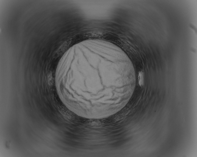 X0000091931395200710031050