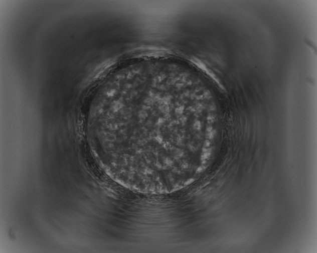 X0000091931399200710031050