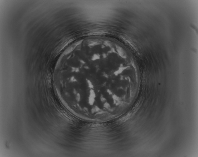 X0000091931401200710031050