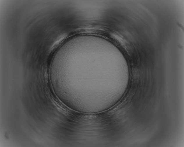 X0000091931403200710031050