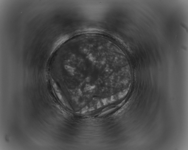 X0000091931405200710031050