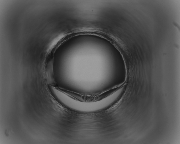 X0000091931406200710031050