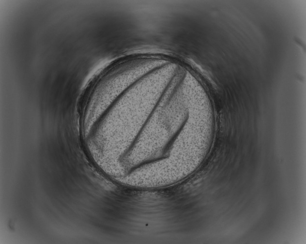 X0000091931408200710031050