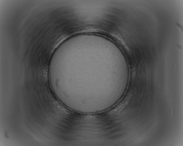 X0000091931409200710031050