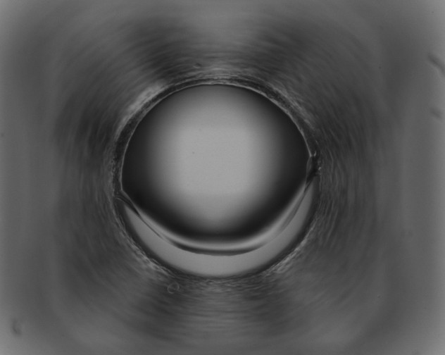 X0000091931410200710031050