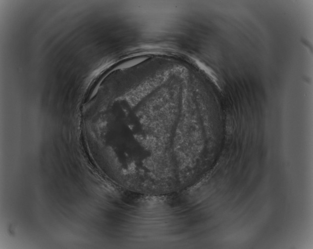 X0000091931411200710031050