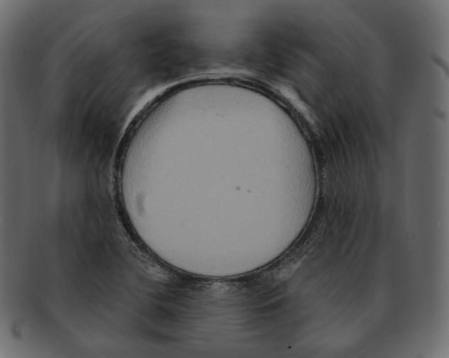 X0000091931412200710031050