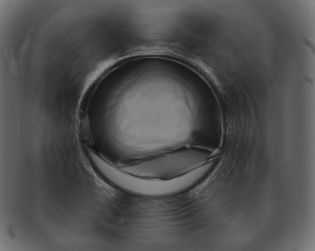 X0000091931414200710031050
