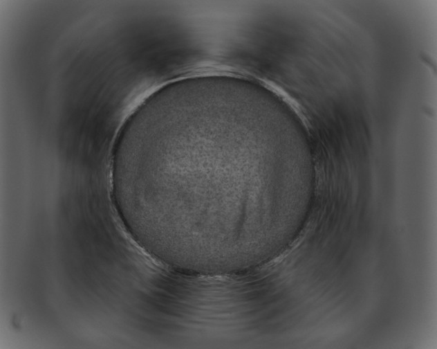 X0000091931415200710031050