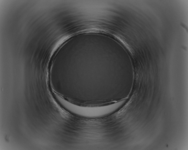 X0000091931418200710031050