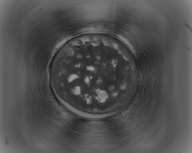 X0000091931419200710031050