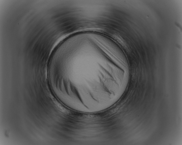 X0000091931420200710031050