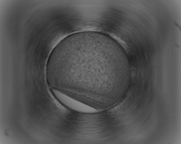 X0000091931423200710031050