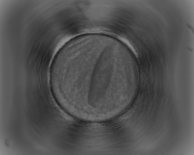 X0000091931424200710031050