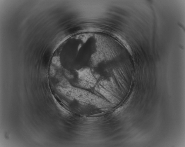 X0000091931425200710031050