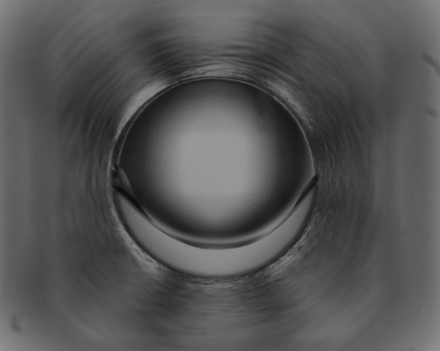 X0000091931426200710031050