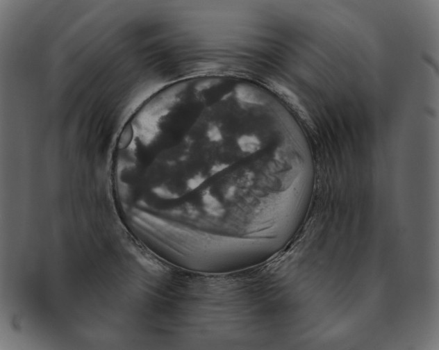 X0000091931427200710031050