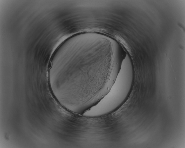 X0000091931428200710031050