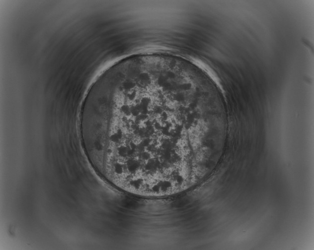 X0000091931429200710031050