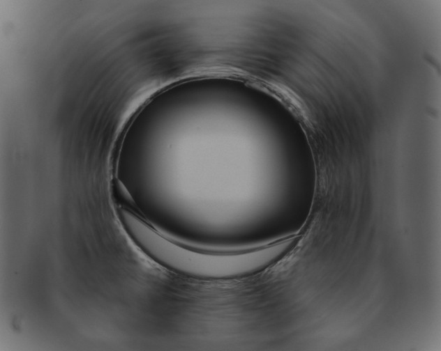 X0000091931430200710031050