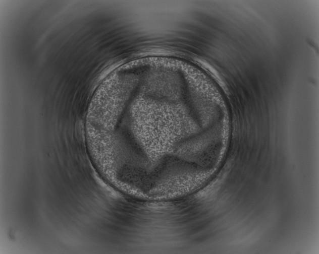 X0000091931433200710031050